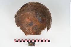 Foto von Eisenhelm (NHMW-PRAE-048323)